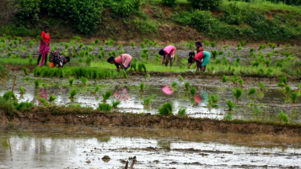  কৃষকদের জন্য বড় বার্তা