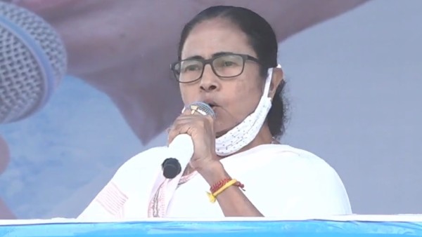 চাশ্রমিকদের মন ভোলাচ্ছে চাশ্রমিকদের মন ভোলাচ্ছে