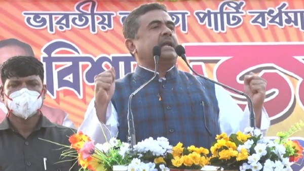  ঠেলায় গাছে উঠেছে 'বেড়াল'