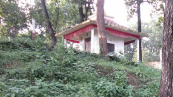 কোথায় থাকবেন