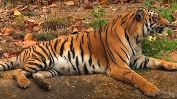 কী কী দেখবেন কী কী দেখবেন