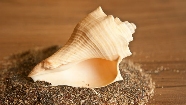 স্বস্তিক চিহ্নের ব্যবহার