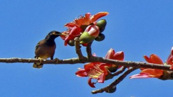 দক্ষিণবঙ্গের আবহাওয়া 
