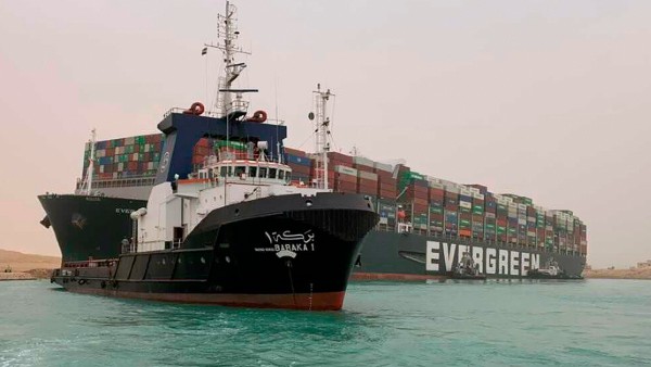 রোবট মাছগুলি বাইরে থেকে নিয়ন্ত্রণ করা যায়