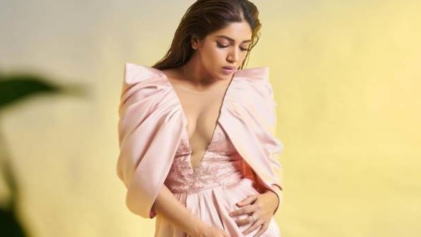 ভূমি পেডনেকারের পোস্ট