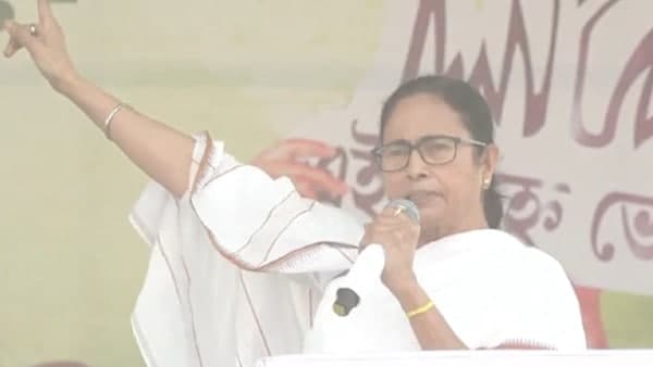 মমতার ছবিতে কী দেখা গিয়েছে? মমতার ছবিতে কী দেখা গিয়েছে?