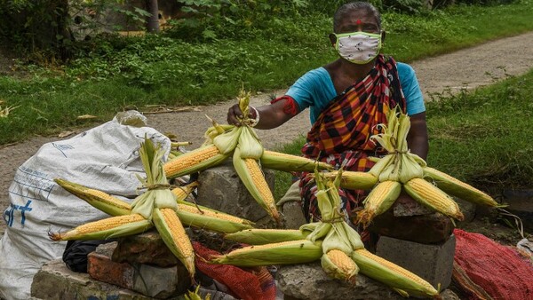 মানতে হবে কোভিড বিধি