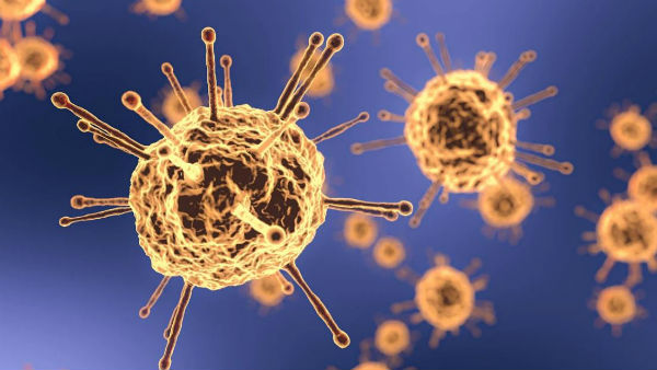 করোনা ভাইরাসের 'বাঁচার অধিকার' প্রসঙ্গ করোনা ভাইরাসের 'বাঁচার অধিকার' প্রসঙ্গ