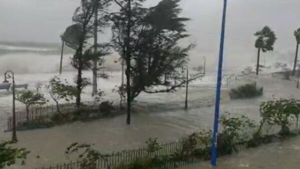 Dildo yirtqich porno