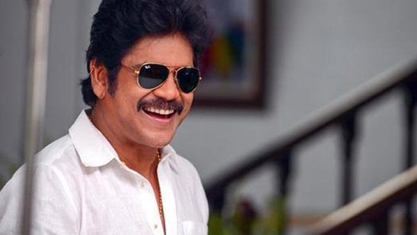 নাগার্জুনের বাড়ি সম্পর্কে পরিস্থিতি জাানিয়ে দিয়েছেন অমলা! নাগার্জুনের বাড়ি সম্পর্কে পরিস্থিতি জাানিয়ে দিয়েছেন অমলা!