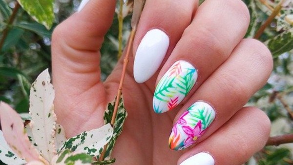 তরোয়ালের আকারের লম্বা নখ তরোয়ালের আকারের লম্বা নখ