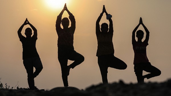 বেলার দিকে ব্যায়ামের পর কী খাদ্য খাবেন বেলার দিকে ব্যায়ামের পর কী খাদ্য খাবেন