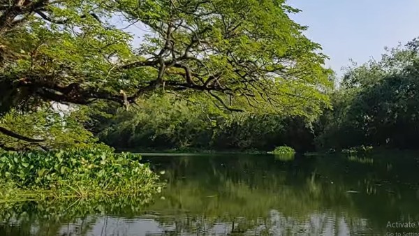 যে বিষয়গুলি দায়ী