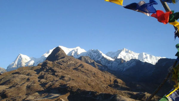 নয়া গাইড লাইন