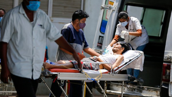 বাড়ছে জিকা সংক্রমণ