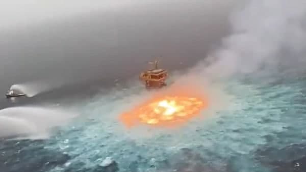 ভাইরাল হওয়া ভিডিওতে কি দেখা যাচ্ছে? 