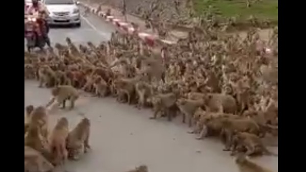  খাবারের সঙ্কট