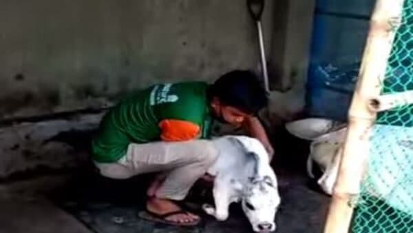 ঢাকার অদূরেই রয়েছে খামার