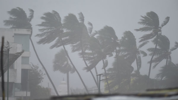 ইয়াসের পরে গুলাব ইয়াসের পরে গুলাব
