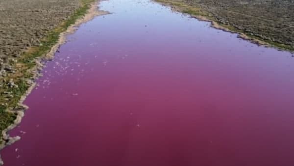 বদলে গেল আস্ত হ্রদের রঙ! 