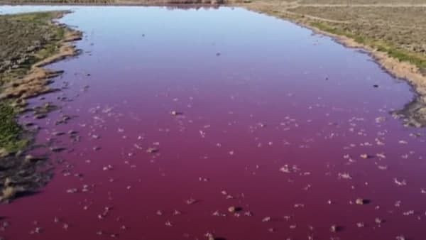 সরকারকেই দায়ী করা হচ্ছে এই ঘটনাতে