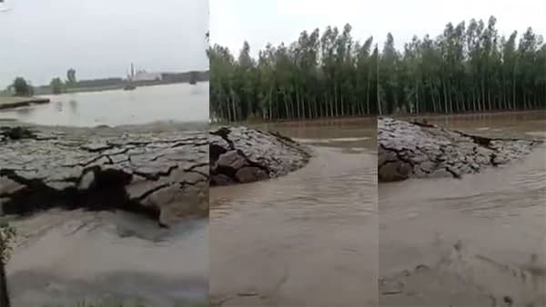 মাটি ঠেলে উঠে আসছে তা স্পষ্ট নয় মাটি ঠেলে উঠে আসছে তা স্পষ্ট নয়