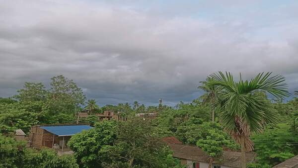 পরিদর্শনে মুখ্যমন্ত্রী