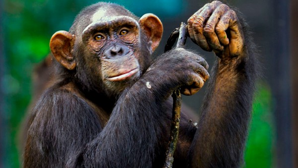 মন ভেঙে গিয়েছে অ্যাডির মন ভেঙে গিয়েছে অ্যাডির