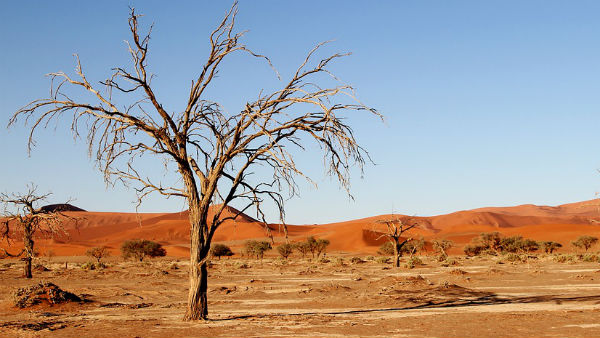 তীব্র খরা সিরিয়া-ইরাকে তীব্র খরা সিরিয়া-ইরাকে