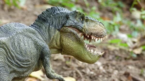  কী নাম নতুন প্রজাতির ডাইনোসরের?
