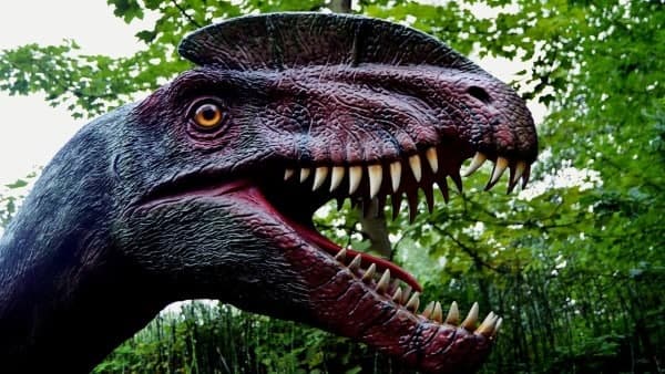  শাকাশী ডাইনসোররের সন্ধান?