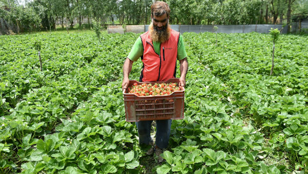 যোগাযোগ