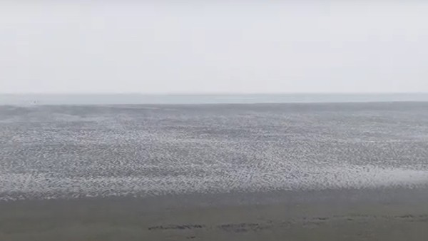 কীভাবে যাবেন