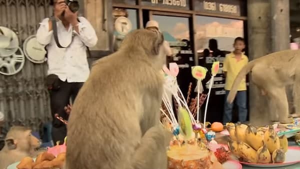  সেগুলিকে আবার বেশ কায়দা করে কাটা হয়