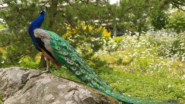 ঘরে সুস্বাস্থ্যের জন্য কী কী করণীয়?