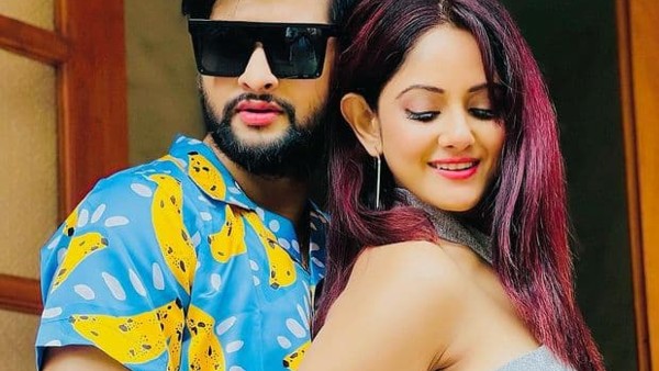নীল–তৃণার দাম্পত্য জীবন