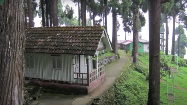 কী দেখবেন কী দেখবেন