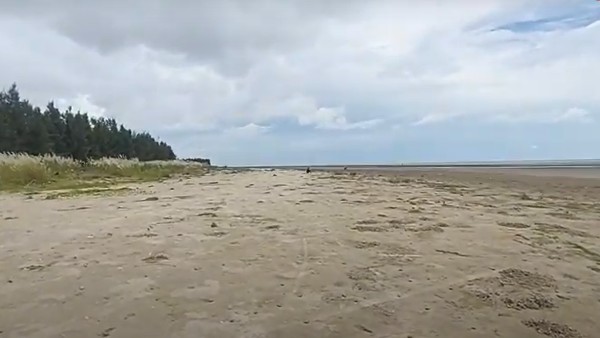 কী দেখবেন