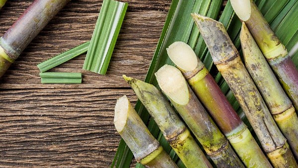 আঁখের পুজো