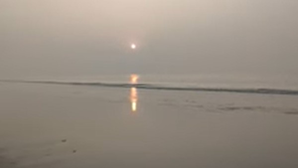 সুন্দরী তাজপুর সুন্দরী তাজপুর