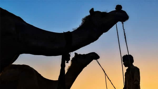 কোথায় হয় মেলা? কোথায় হয় মেলা?