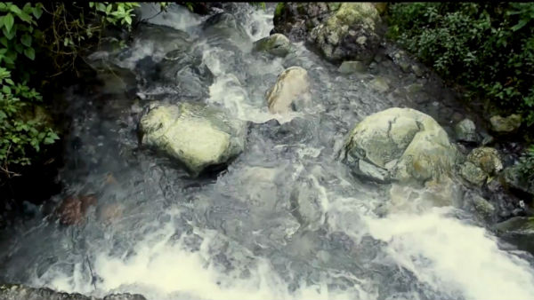 বন্য রাস্তায় ট্রেকিং বন্য রাস্তায় ট্রেকিং
