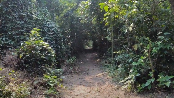 দেখার কী আছে দেখার কী আছে