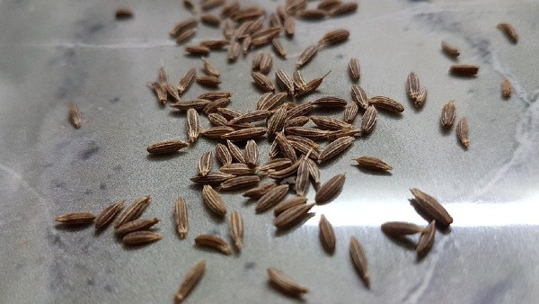 নেতিবাচক শক্তি দূর করে