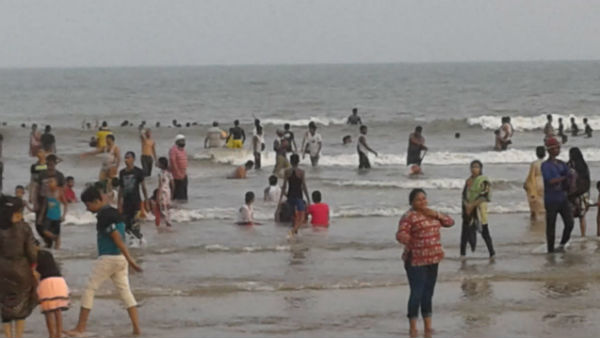 বকখালিতে বিরল প্রজাতির প্রাণী