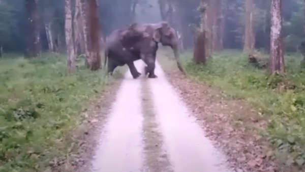 কী কী দেখবেন