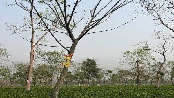 অবস্থান ও ইতিহাস