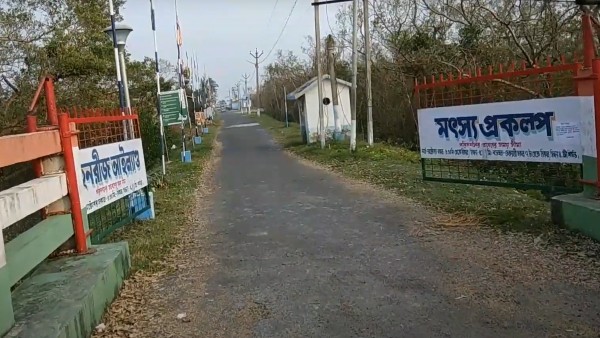 হেনরী আইল্যান্ড হেনরী আইল্যান্ড