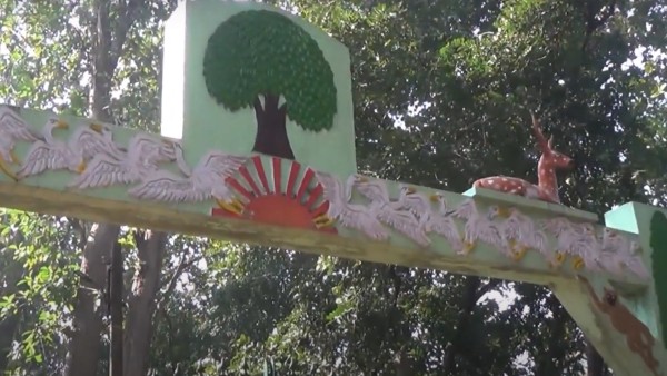 ইতিহাস ইতিহাস