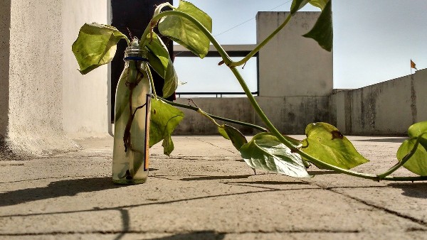 লাল জিনিস এবং মাটি থেকে দূরে রাখুন লাল জিনিস এবং মাটি থেকে দূরে রাখুন